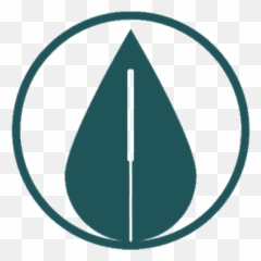 Of Renewal Acupuncture Emoji,Acupuncture Sites On Back For Emotions