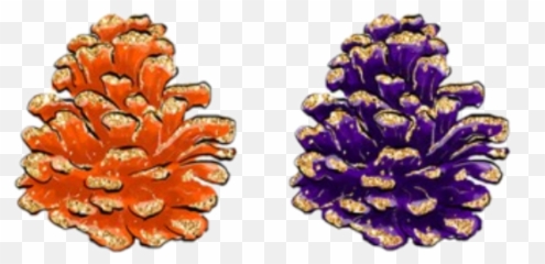 Watercolor Pinecone Pine Cone Sticker - Broomrapes Emoji,Pine Cone Emoji Png