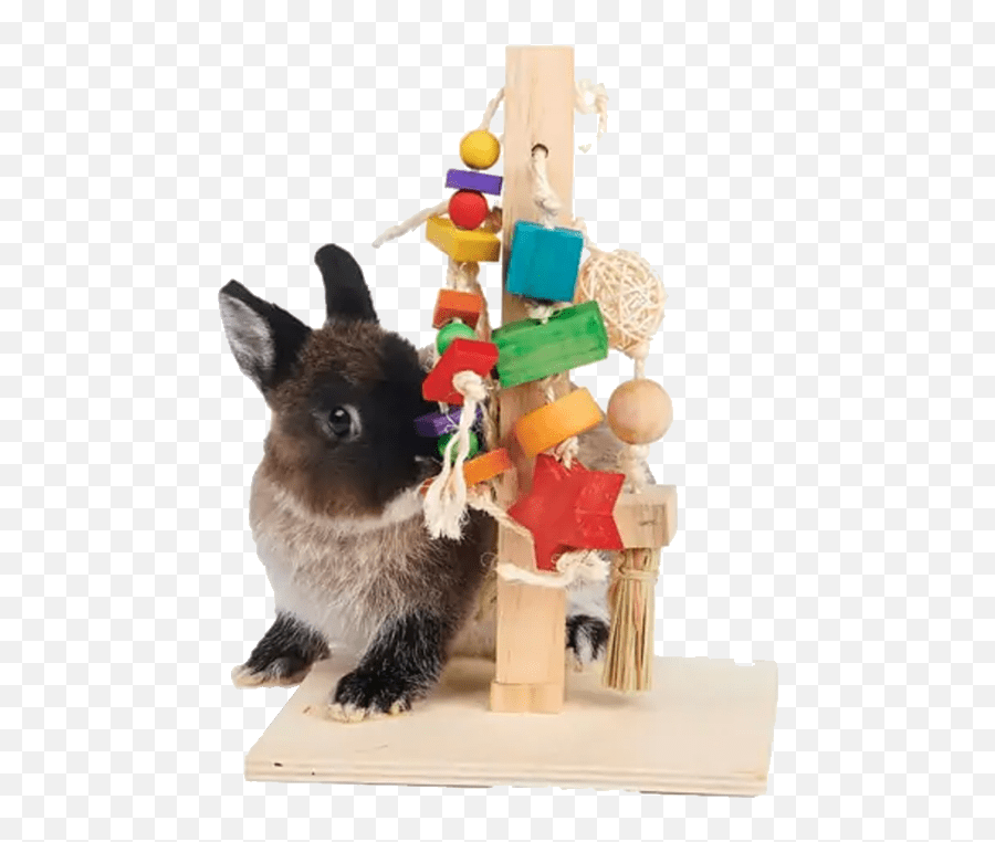 10 Best Rabbit Toys 2021 - Oxbow Play Post Emoji,Rabbit Head Emoticon
