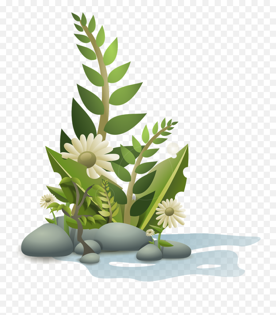 Summer Nature Png U0026 Free Summer Naturepng Transparent - Plants Clipart Emoji,Snowshoe Emoji
