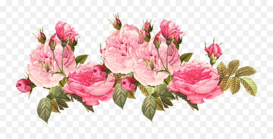 Flower Png Tumblr Flower Png Tumblr - Pink Flowers Transparent Png Emoji,Emoji Wallpapers Tumblr