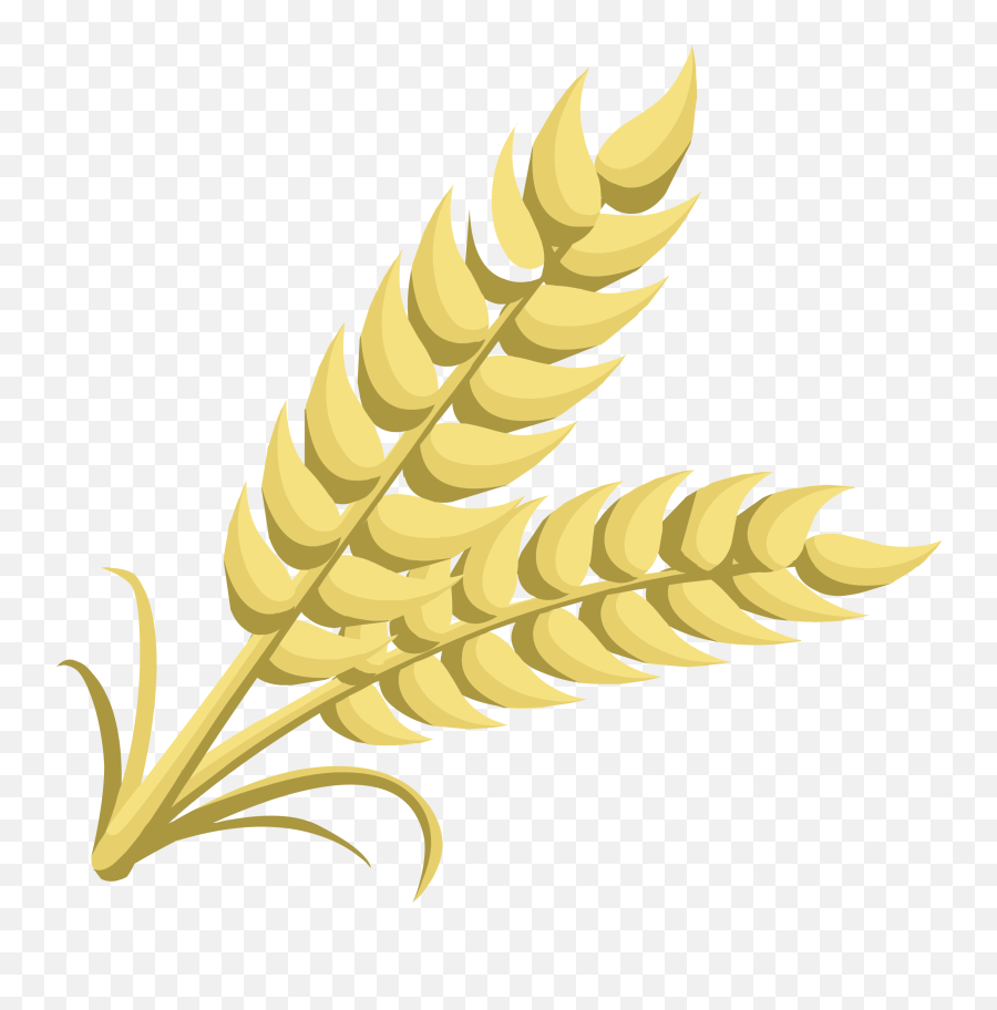 Flour Clipart Cereal Grain Flour - Grain Clipart Emoji,Grain Emoji