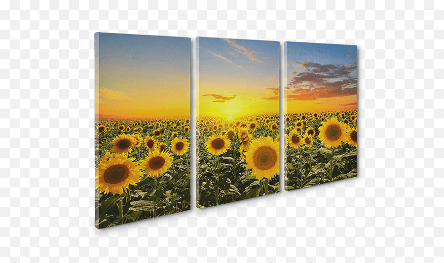 Triptych Canvas Prints - Create Your 3 Panel Split Canvas Prints Sunflowers Sunset Emoji,Emoji Mosaic Yodeling Kid