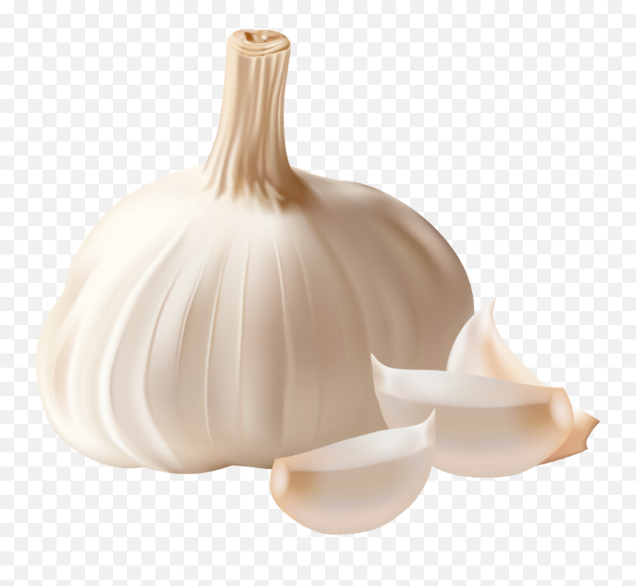 Free Garlic Transparent Background - Garlic Png Emoji,Garlic Emoji