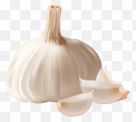 Free Garlic Transparent Background - Garlic Png Emoji,Garlic Emoji