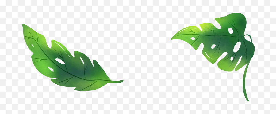Drawing Leaf Design Ai Elements Png Images Psd Free - Arums Emoji,Leaf Emojis On All Phones