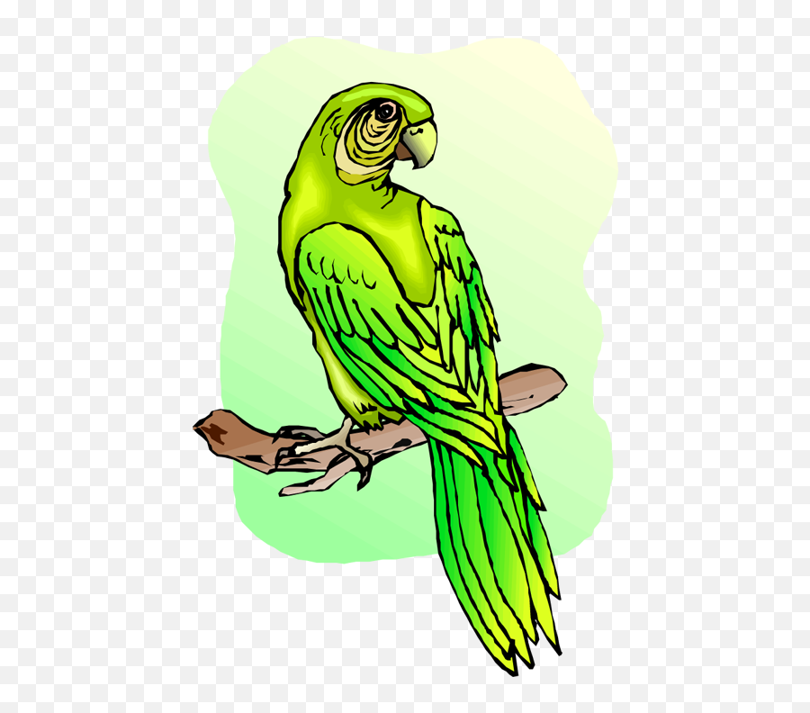 Green Parrot Cliparts - Budgerigar Png Download Full Parrots Emoji,Parrot Emoji