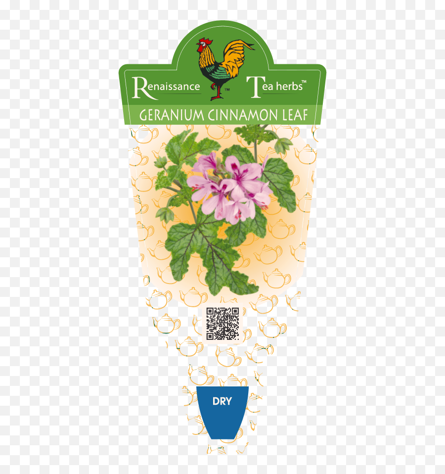 Geranium Cinnamon Leaf Pelargonium Emoji,Emotion Code For Geranium