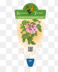 Geranium Cinnamon Leaf Pelargonium Emoji,Emotion Code For Geranium
