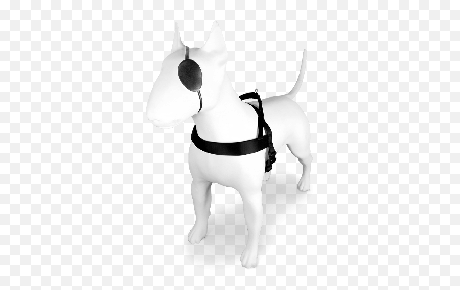 The Dog Harness That Expresses - Martingale Emoji,Dogs Emotions