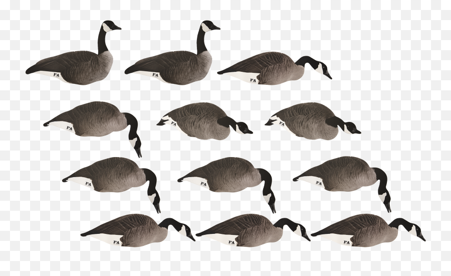 Decoys Tagged Field Geese - Final Approach Final Approach Silhouette Decoys Emoji,Canadian Goose Emoticon