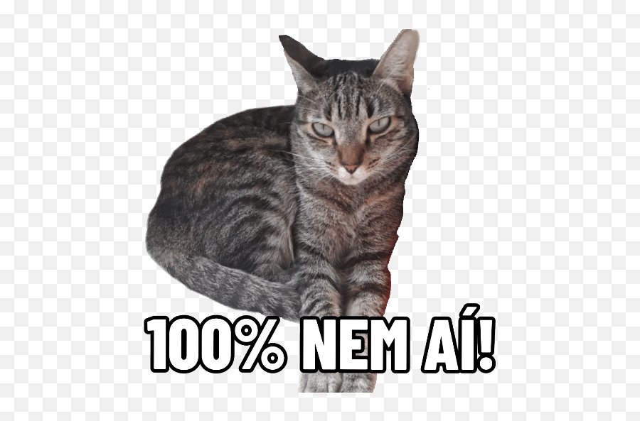 Gatitos Da Mamaju Emoji,Emoji Preguica