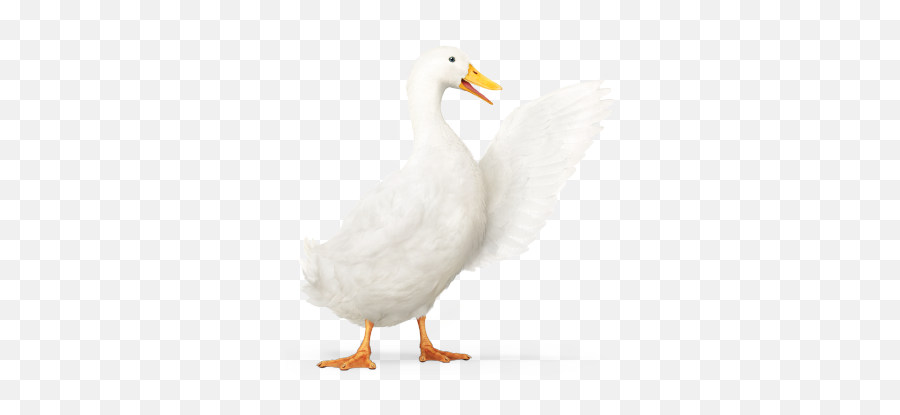 10 Aflac Ideas Aflac Aflac Duck Aflac Insurance Emoji,Ducky Emotion