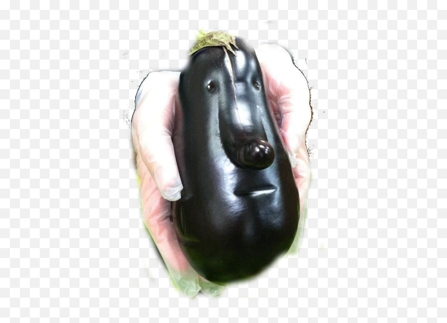 Eggplante - Cool Vegetables Emoji,Giant Eggplant Emoji