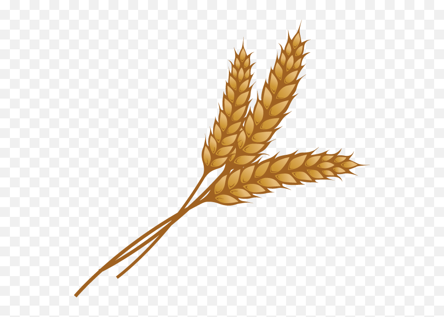 Grain Challenge Sticker - Clip Art High Resolution Wheat Grain Emoji,Grain Emoji