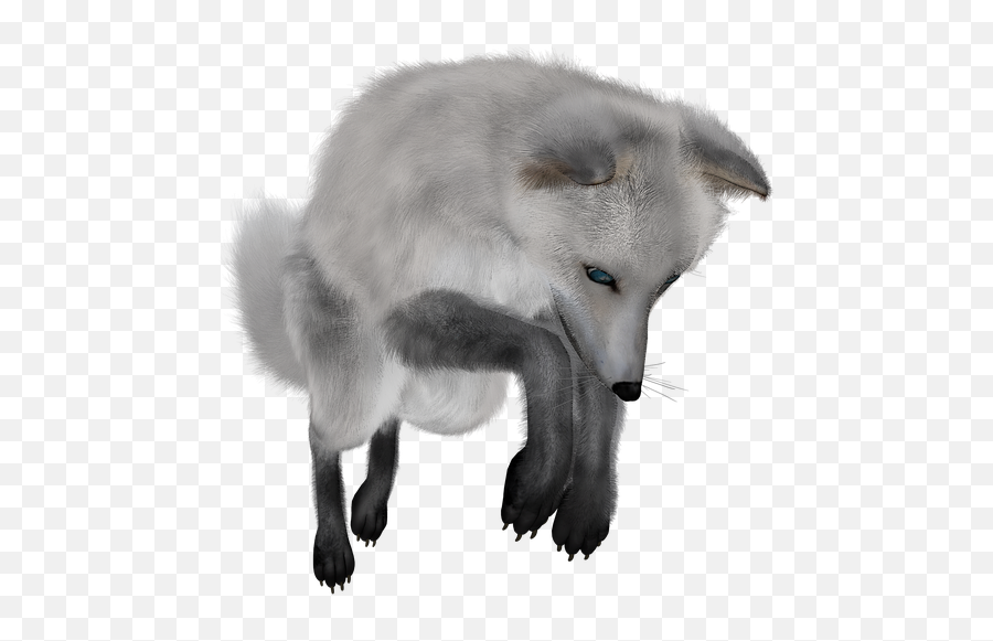 Arctic Fox Png Resolution960x540 Transparent Png Image - Hungry Arctic Fox Transparent Background Emoji,Fox Emoji Transparent