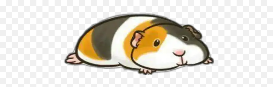 Meerschweinchen Sticker Für Whatsapp - Guinea Pig Pawlove Emoji,Whatsapp Emojis Affen