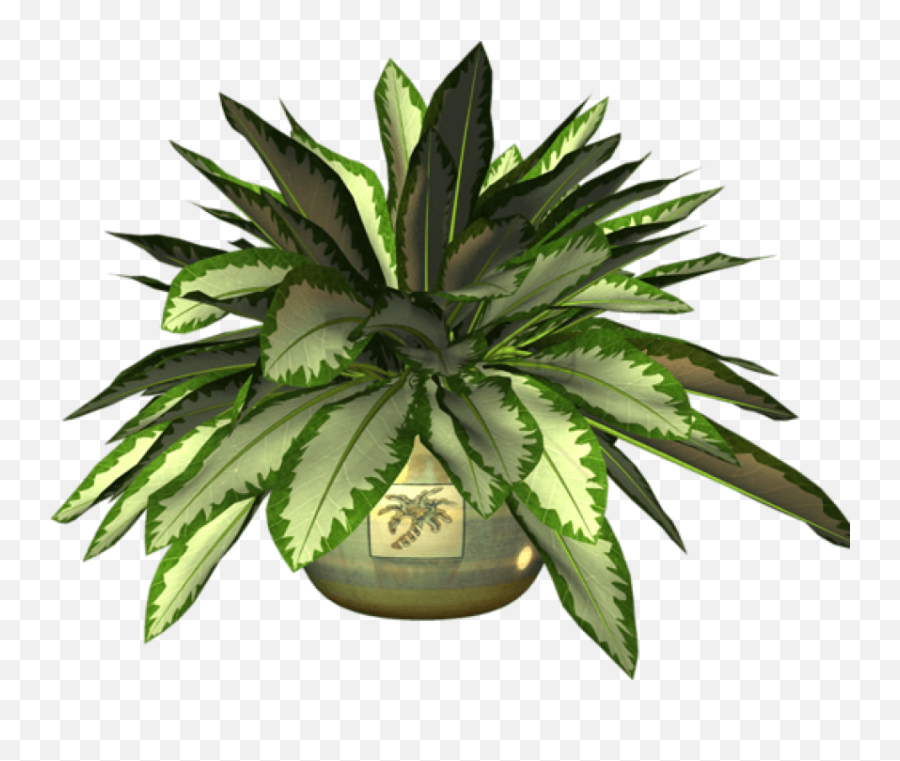 Botany Png U0026 Free Botanypng Transparent Images 37579 - Pngio For Indoor Emoji,John Cena Trumpet Emoji