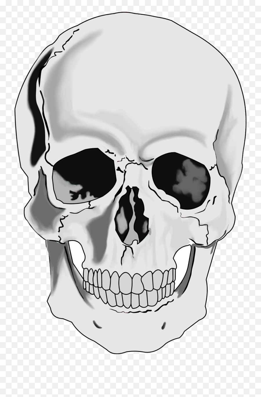 Clipart Realistic Human Skull - Clipartix Free Clip Art Skull Emoji,Skull Face Emoji