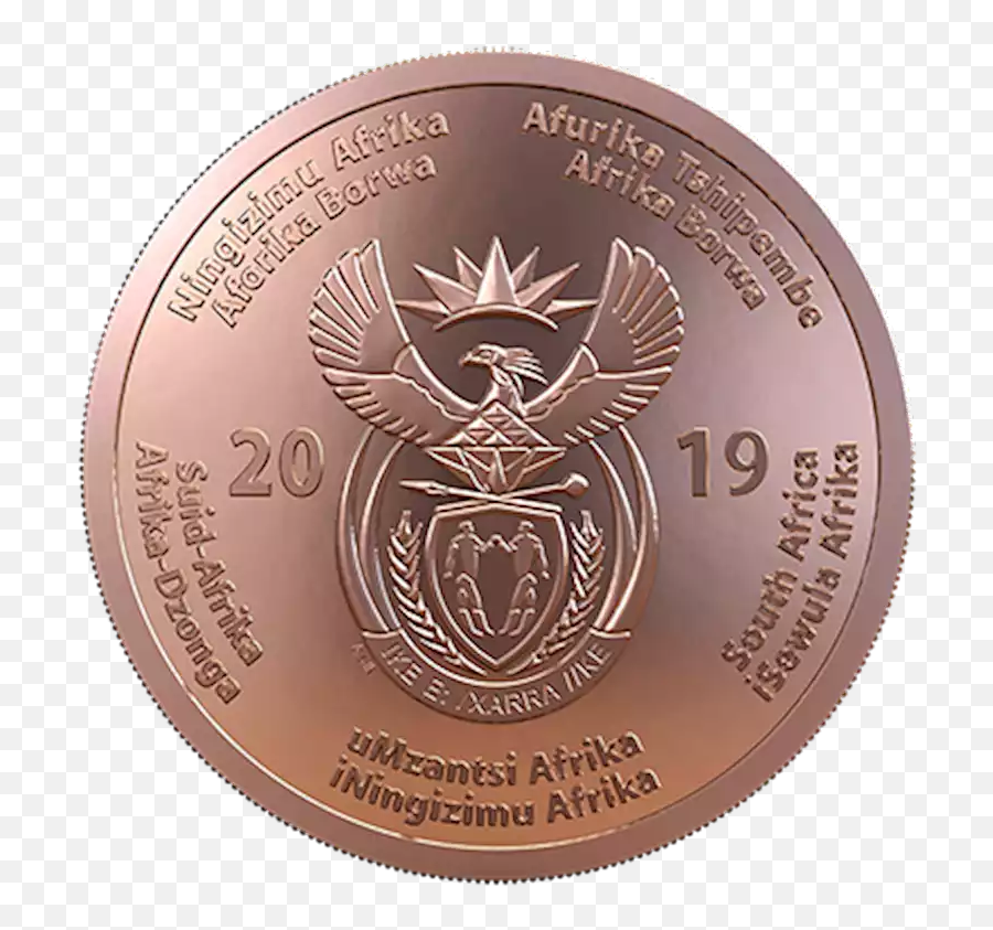 Pics Fancy R500 Pure Gold Coin To Commemorate Sau0027s 25 Years - Solid Emoji,Democracy Emojis