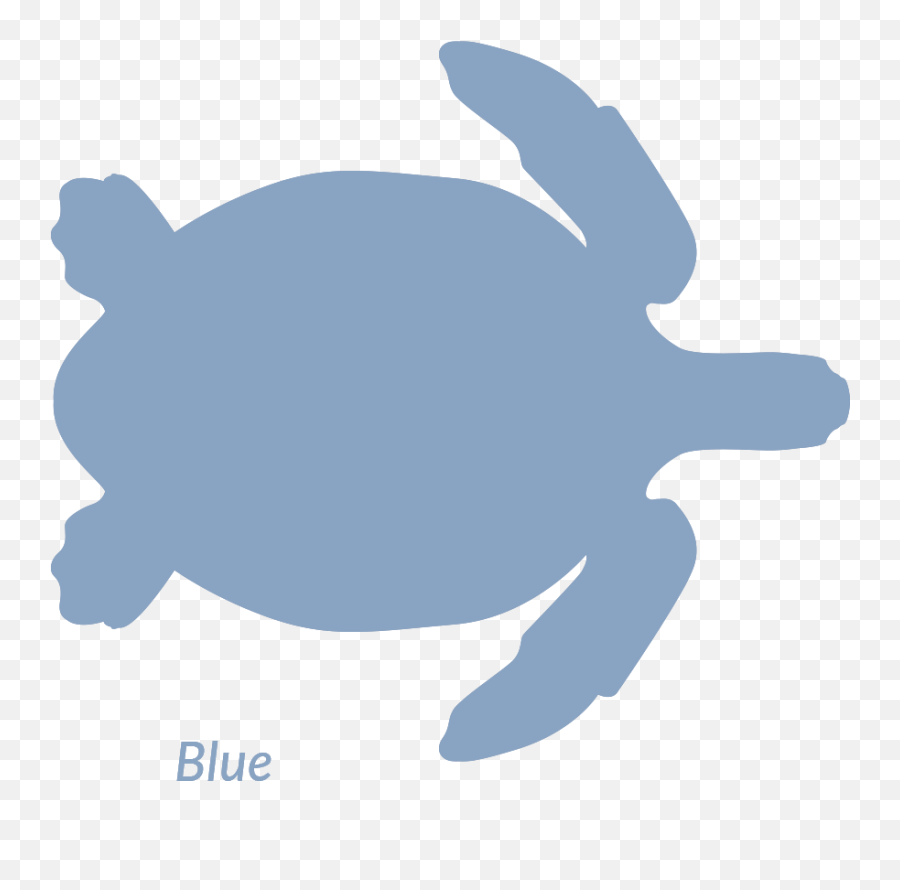 Sea Turtle Stars - Tortoise Emoji,Turtle Emotions Pritnable Cards