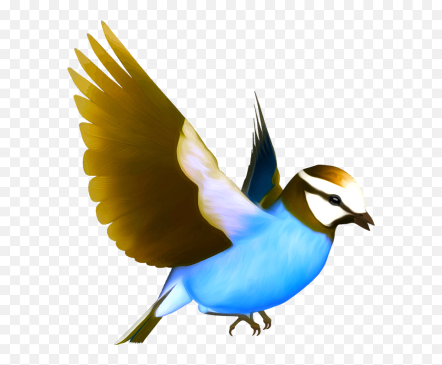 Download Flying Birds Free Png Photo Images And Clipart - Bird Images Png Emoji,Bird Song Emoji