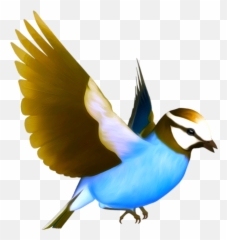 Download Flying Birds Free Png Photo Images And Clipart - Bird Images Png Emoji,Bird Song Emoji