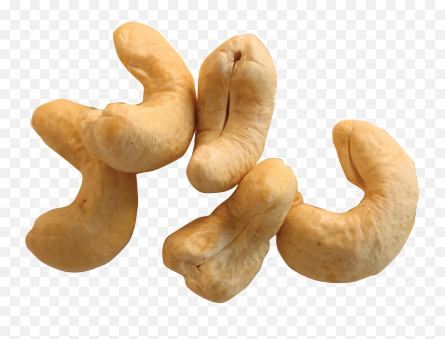 Cashew Nut Png Resolution1557x1113 Transparent Png Image Emoji,Nut Emojis