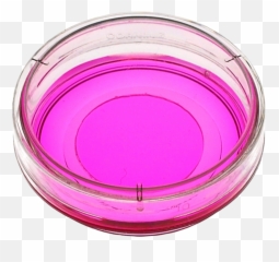 Largest Collection Of Free - Toedit Stickers On Picsart Emoji,Petri Dish Emoji