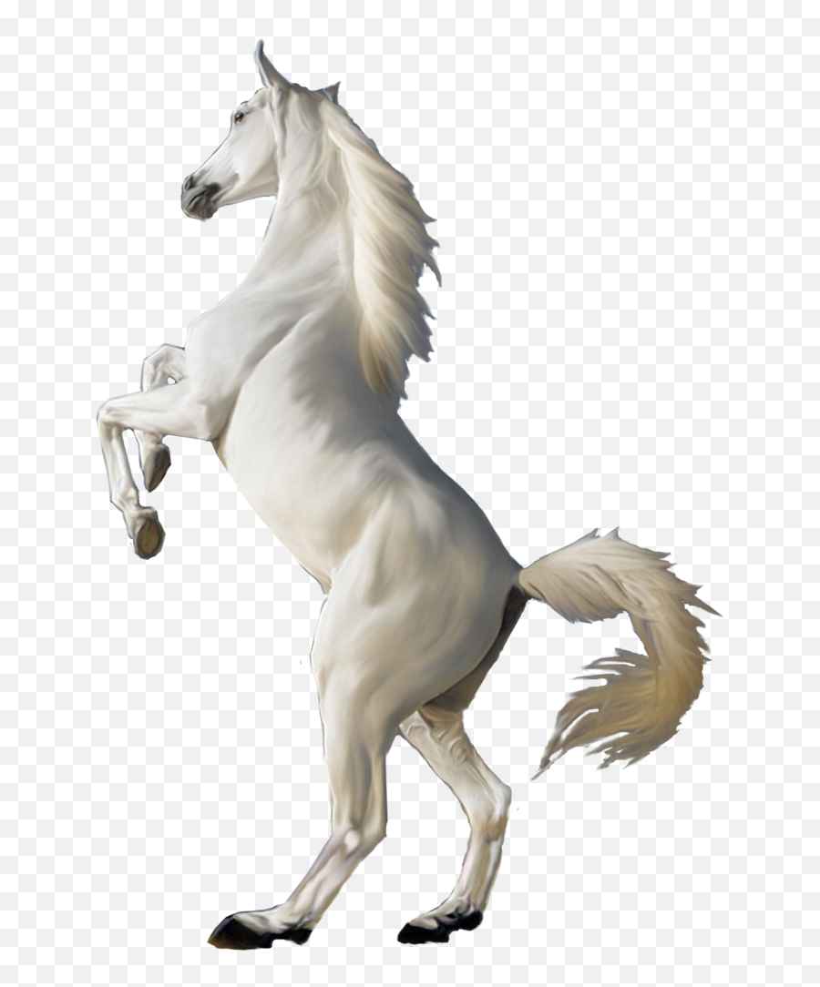 White Horse Png 4 - White Horse Png Emoji,Horse Emoji Transparent