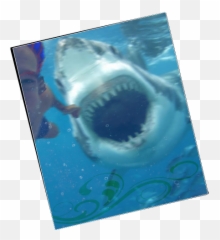 Mermish Party - Pagina 2 Great White Shark Emoji,Emoticon Perplessa