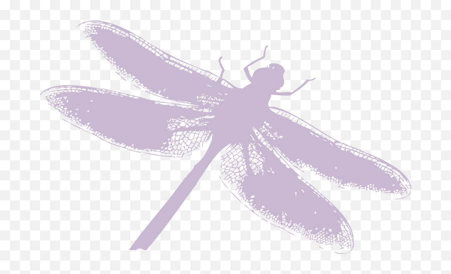 Free Transparent Insect Png Download - Parasitism Emoji,Dragonfly Emoticon