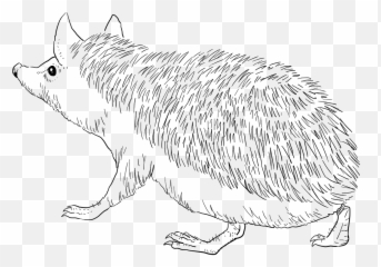 Long - Long Eared Hedgehog Drawing Emoji,Monkey Emoji .png Apple