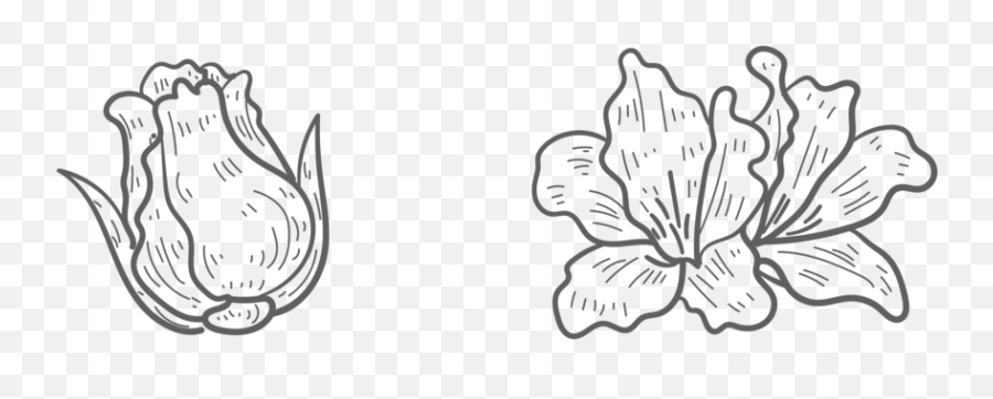 Flor Y Pétalo Línea Azul Dibujado A Mano Vector Ai - Floral Emoji,Emojis Negros Y Blancos