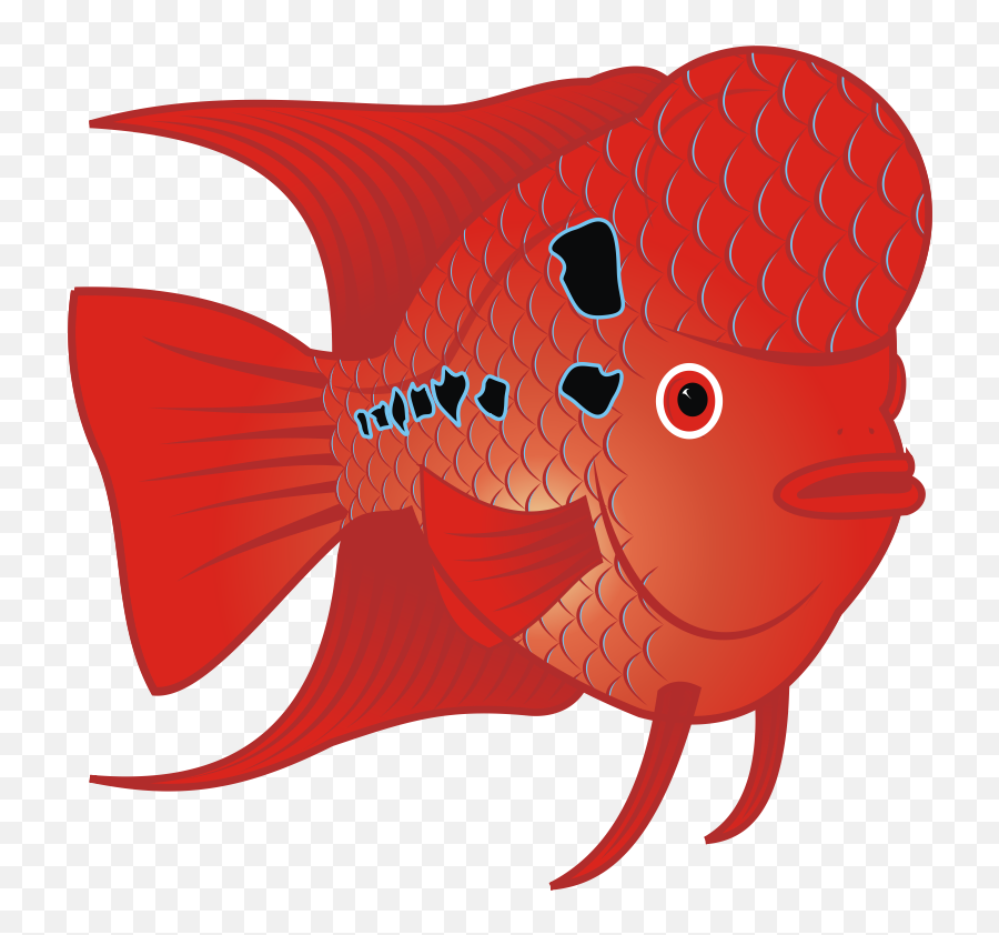 Goldfish Png - Flower Horn Fish Png Emoji,Sexy Goldfish Emoji