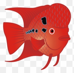 Goldfish Png - Flower Horn Fish Png Emoji,Sexy Goldfish Emoji