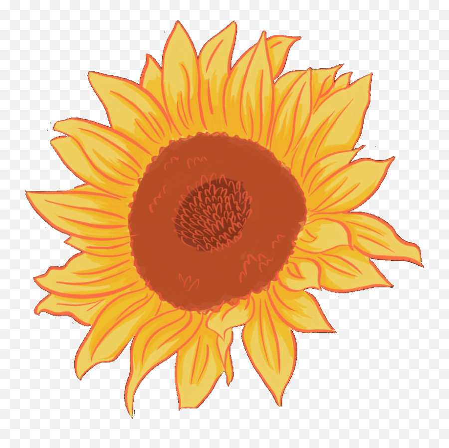 About Audrey Zhang Animated Flowers Png Sunflower - Cloudygif Fresh Emoji,Sunflower Emoji
