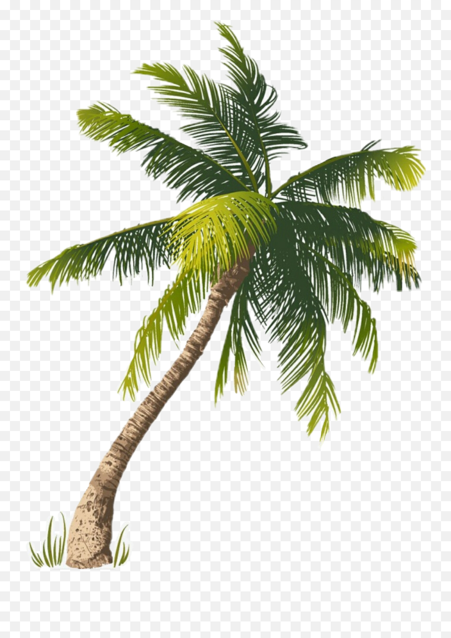 Palm Tree Sticker Challenge - Palm Vs Coconut Tree Emoji,Colorful Palm Trees With Emojis