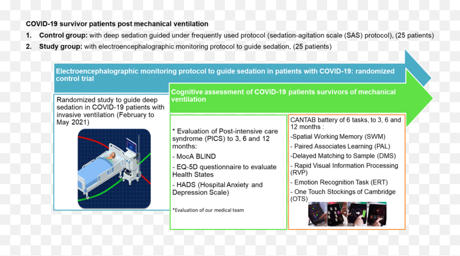 Cognitive Assessment Of Covid - Vertical Emoji,Hospital Emotion Scale