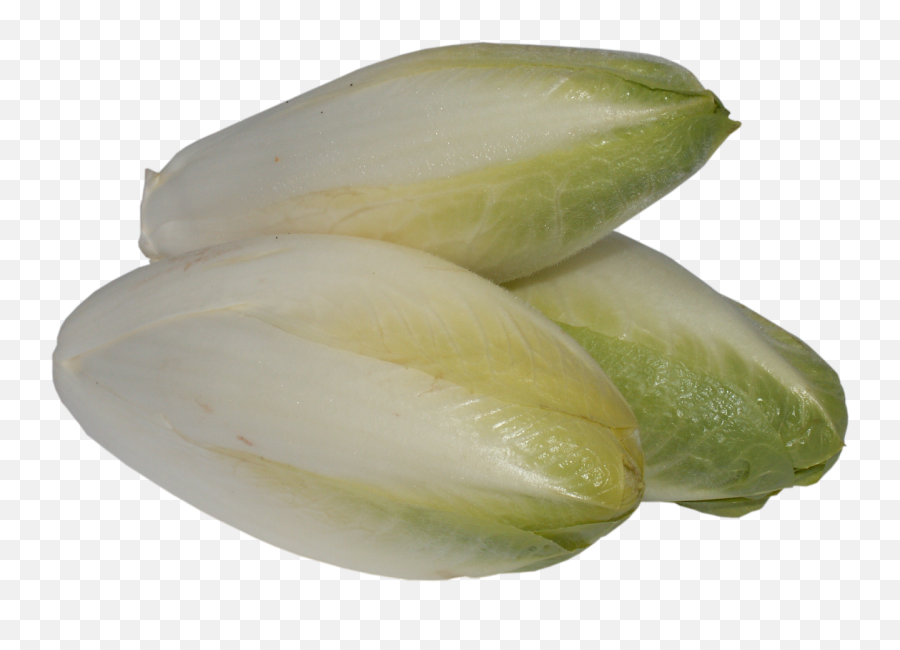Chicory A Vegetable Leaves - Free Photo On Pixabay Emoji,Soggy Lettuce Emoji