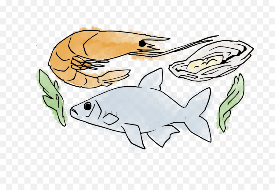 Food U0026 Wine Pairing - Fish Seafood U0026 Shellfish Vinsatori Emoji,Crustacean Emotion