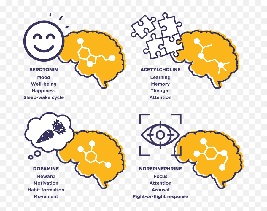 Warfighter Brain Healthu2014part 3 Neurotransmitters Hprc Emoji,Multiple Choice Psychology Human Needs And Emotions