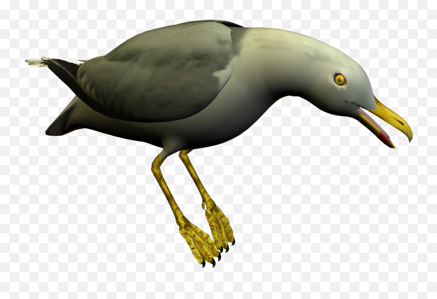 Free Seagull Cliparts Download Free Seagull Cliparts Png Emoji,Seagll Emoji