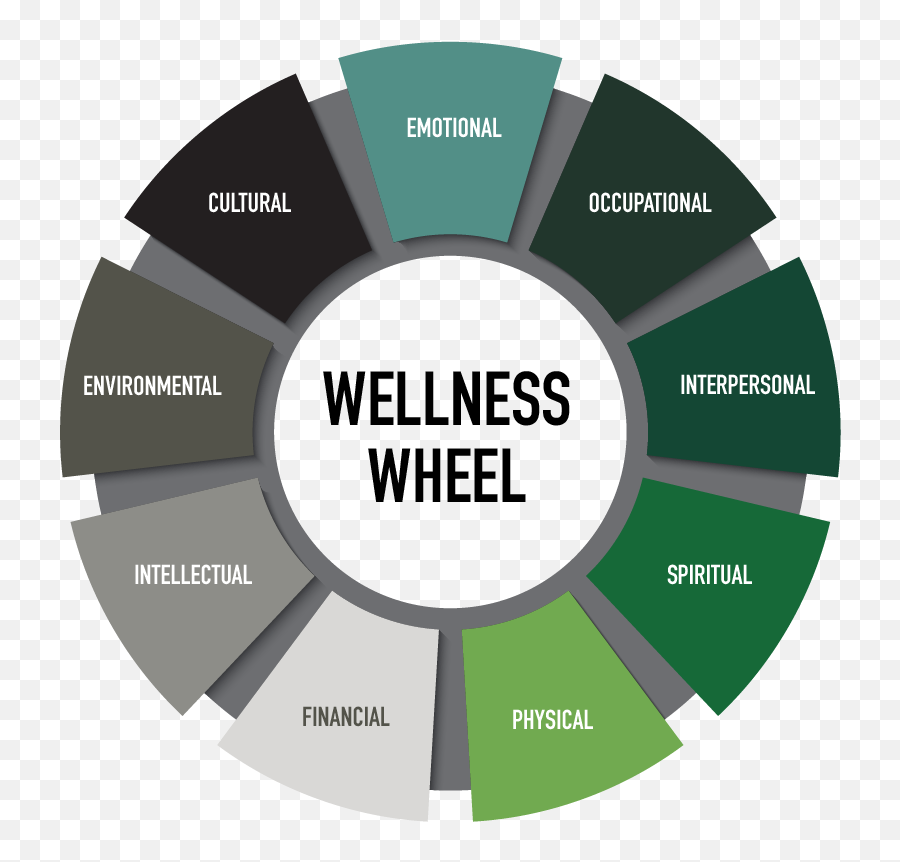 Phe Wellness Wheel - International Noise Conspiracy Survival Sickness Emoji,Emotions Wheel