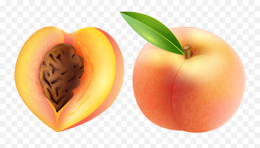 Free Peach Transparent Download Free - Transparent Peach Clipart Emoji,Peach Emoji Png