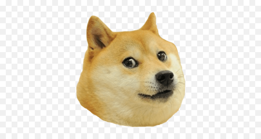 Shiba Inu Transparent - Doge Transparent Doge Emoji,Shiba Inu Emoji