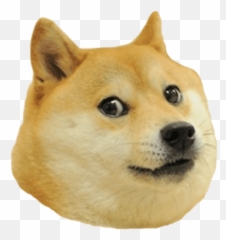 Discord Emojis List - Perro Fuerte Perro Debil,Shiba Inu Emoji - Free ...