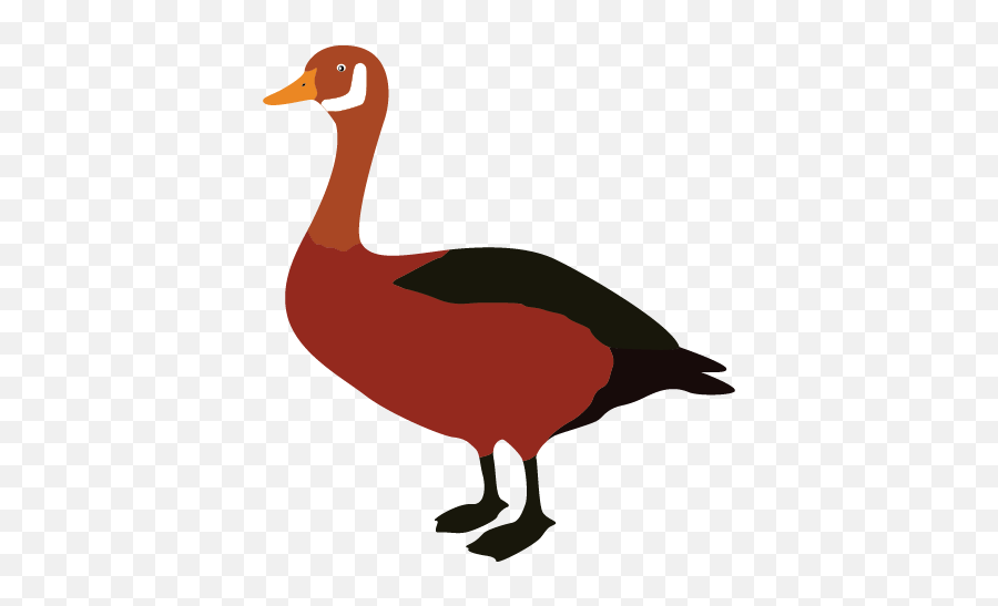 Cartoon Goose Clipart Animal Clip Arts - National Museum Emoji,Goose Emoticon