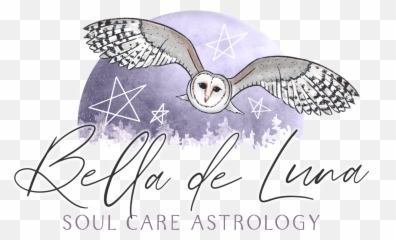Seek The Joy Podcast - Snowy Owl Emoji,Owl Emotions Sort