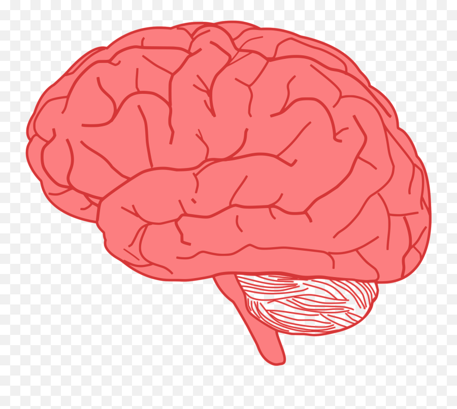 Transparent Background Brain Clipart - Brain Clip Art Emoji,Brain Emoji